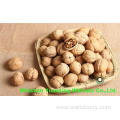 Sweet and Crispy Chinese Walnut kernels Light Pieces(LP)